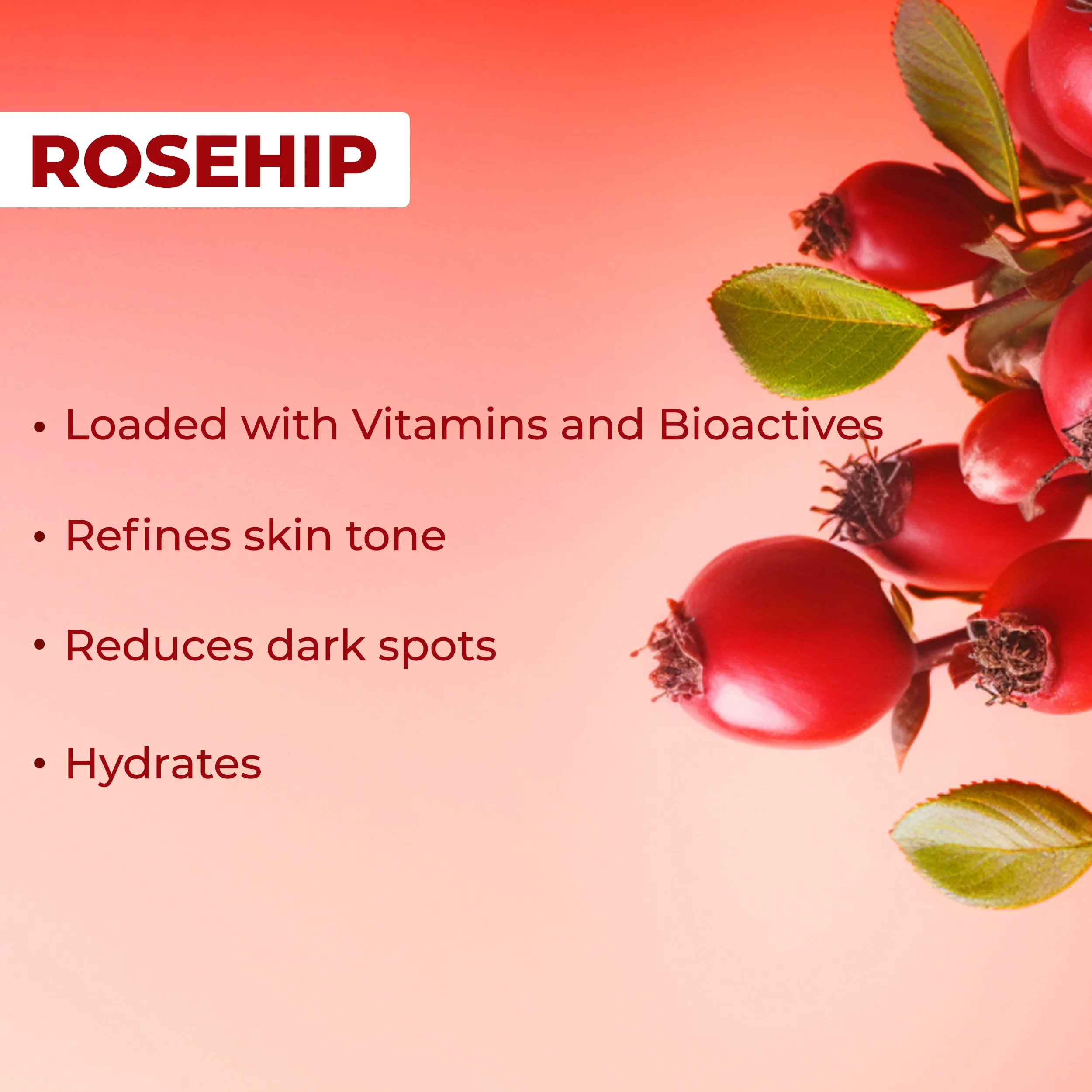 Hydrating Glow Rosehip Toner with Power Of Serum